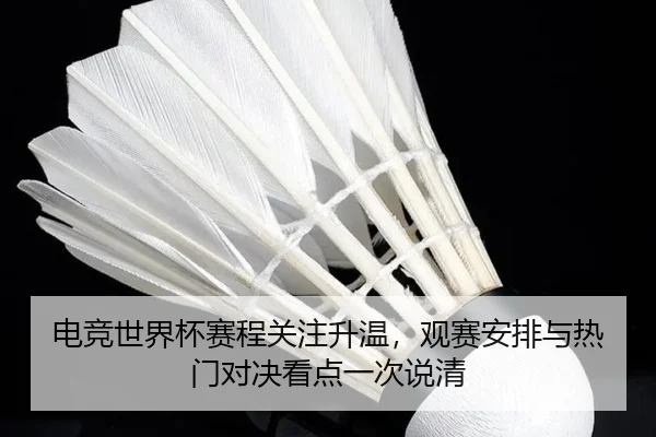 电竞世界杯赛程关注升温，观赛安排与热门对决看点一次说清 - Kering